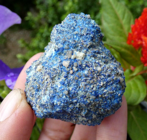 Grosser knötchen chessylite - grosser,